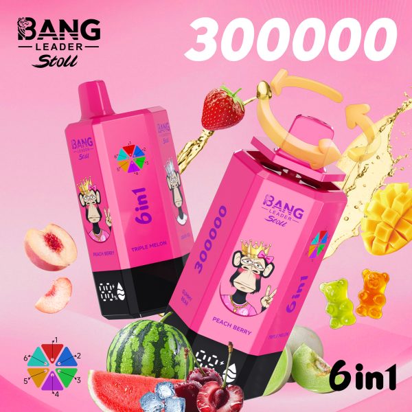 Bang Leader Stoll 300K Puffs 6 IN 1 Flavor 06