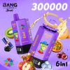 Bang Leader Stoll 300K Puffs 6 IN 1 Flavor 07