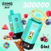 Bang Leader Stoll 300K Puffs 6 IN 1 Flavor 08