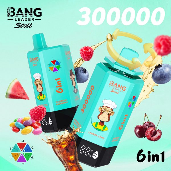 Bang Leader Stoll 300K Puffs 6 IN 1 Flavor 08