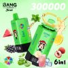 Bang Leader Stoll 300K Puffs 6 IN 1 Flavor 09