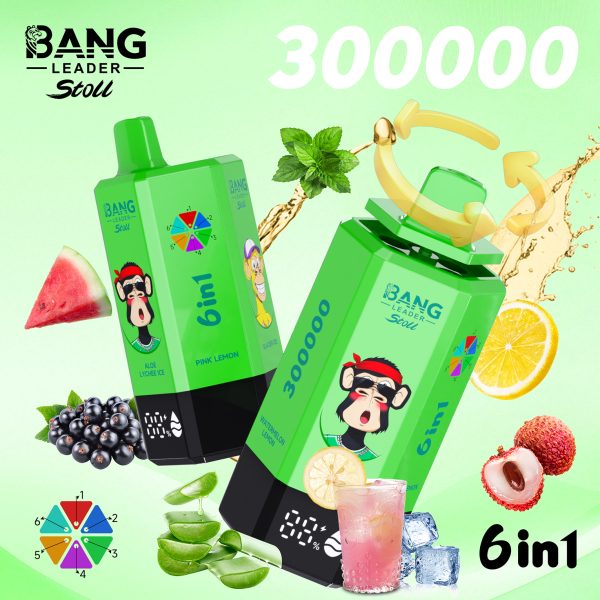 Bang Leader Stoll 300K Puffs 6 IN 1 Flavor 09