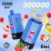 Bang Leader Stoll 300K Puffs 6 IN 1 Flavor 10