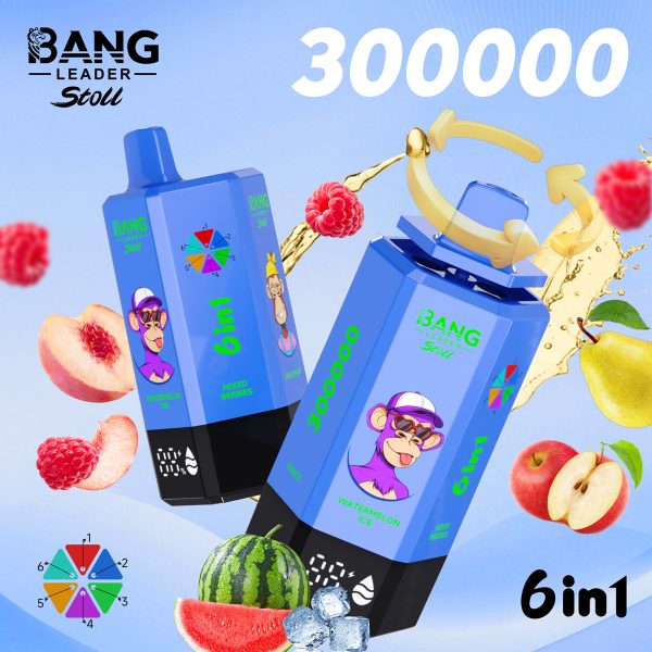 Bang Leader Stoll 300K Puffs 6 IN 1 Flavor 10