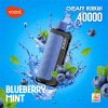 Vozol Gear Hookah 40000 Puffs Blueberry Mint