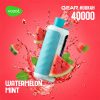 Vozol Gear Hookah 40000 Puffs Watermelon Mint