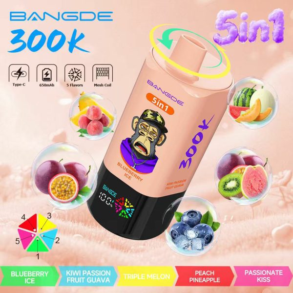 Bang DE 300000 Puffs 5in1 Vape Flavor 01