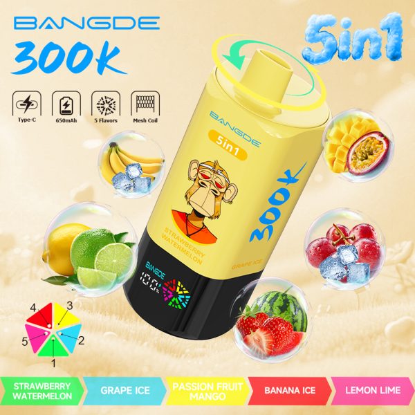 Bang DE 300000 Puffs 5in1 Vape Flavor 02