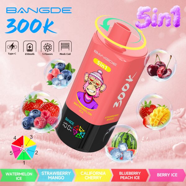 Bang DE 300000 Puffs 5in1 Vape Flavor 03