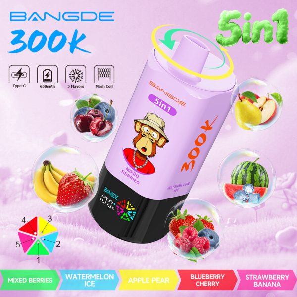 Bang DE 300000 Puffs 5in1 Vape Flavor 04
