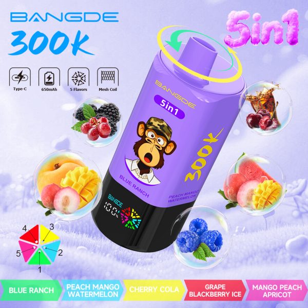 Bang DE 300000 Puffs 5in1 Vape Flavor 07