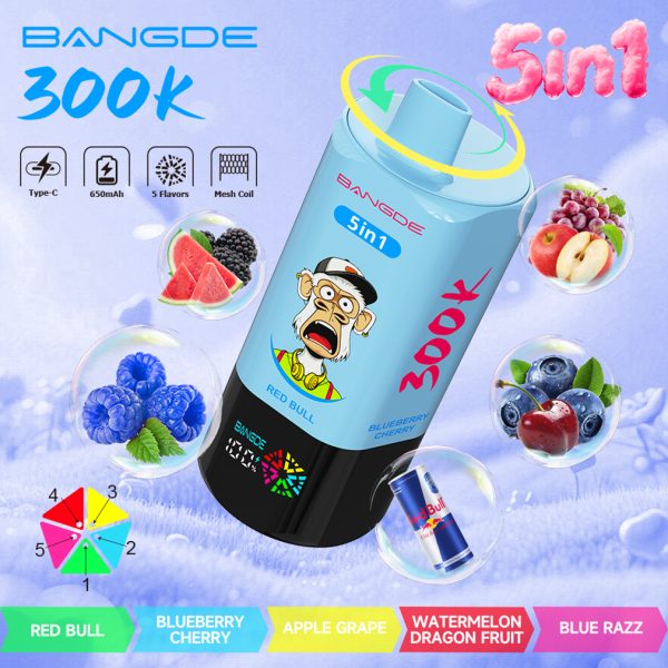 Bang DE 300000 Puffs 5in1 Vape Flavor 09