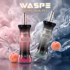 WASPE Shisha Hookah 300K Puffs
